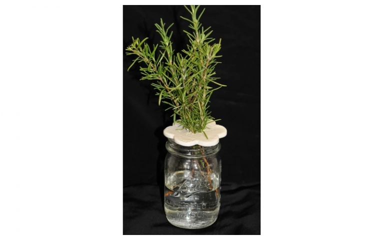 Herb Saver Using Blackjack Clay ~ Designed by Karen Lowrey